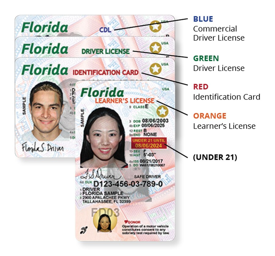 fl driver license check website