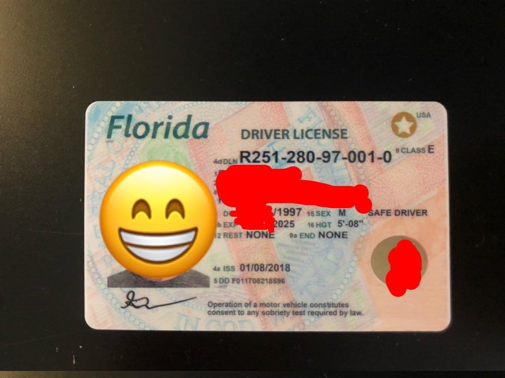 check my driver license in fl